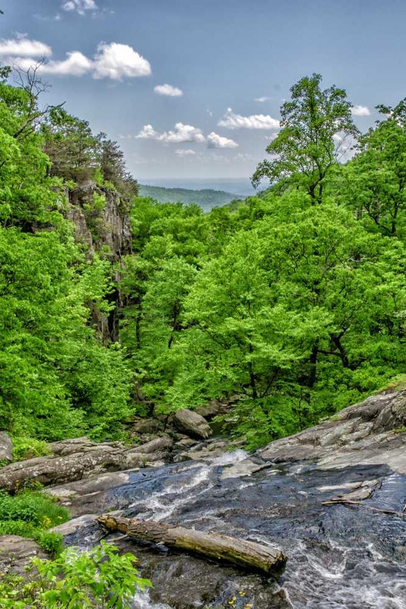 9.1黄金网站入口直接看官方版下载-9.1黄金网站入口直接看正版v1.3.5-视频动漫网站入口大全在线免费页面3