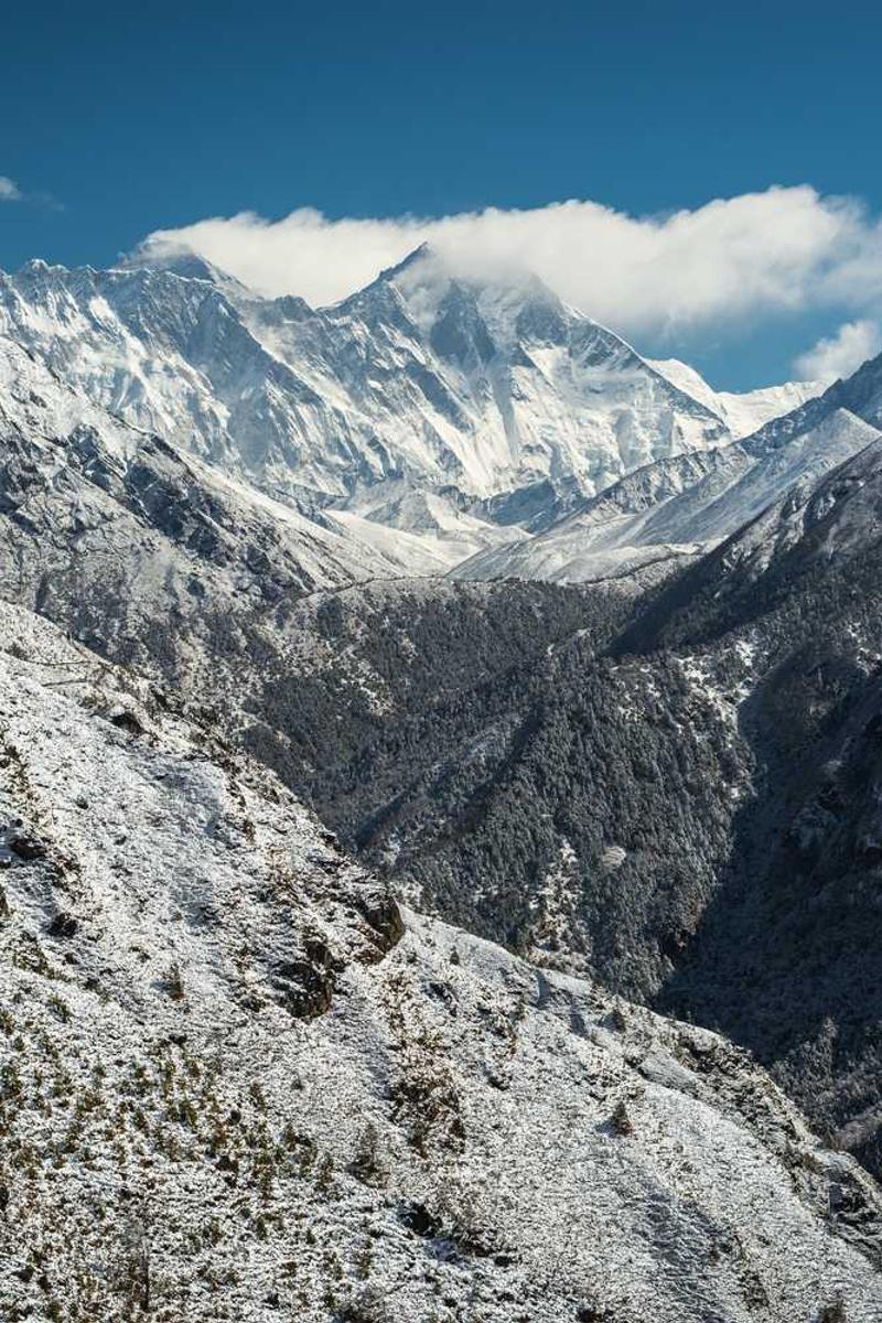 9.1黄金网站入口直接看官方版下载-9.1黄金网站入口直接看正版v1.3.5-视频动漫网站入口大全在线免费页面4