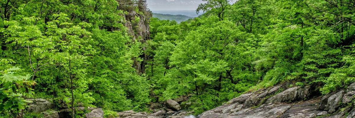 热门9.1黄金网站入口直接看官方版下载-9.1黄金网站入口直接看正版v1.3.5-视频动漫网站入口大全在线免费推荐